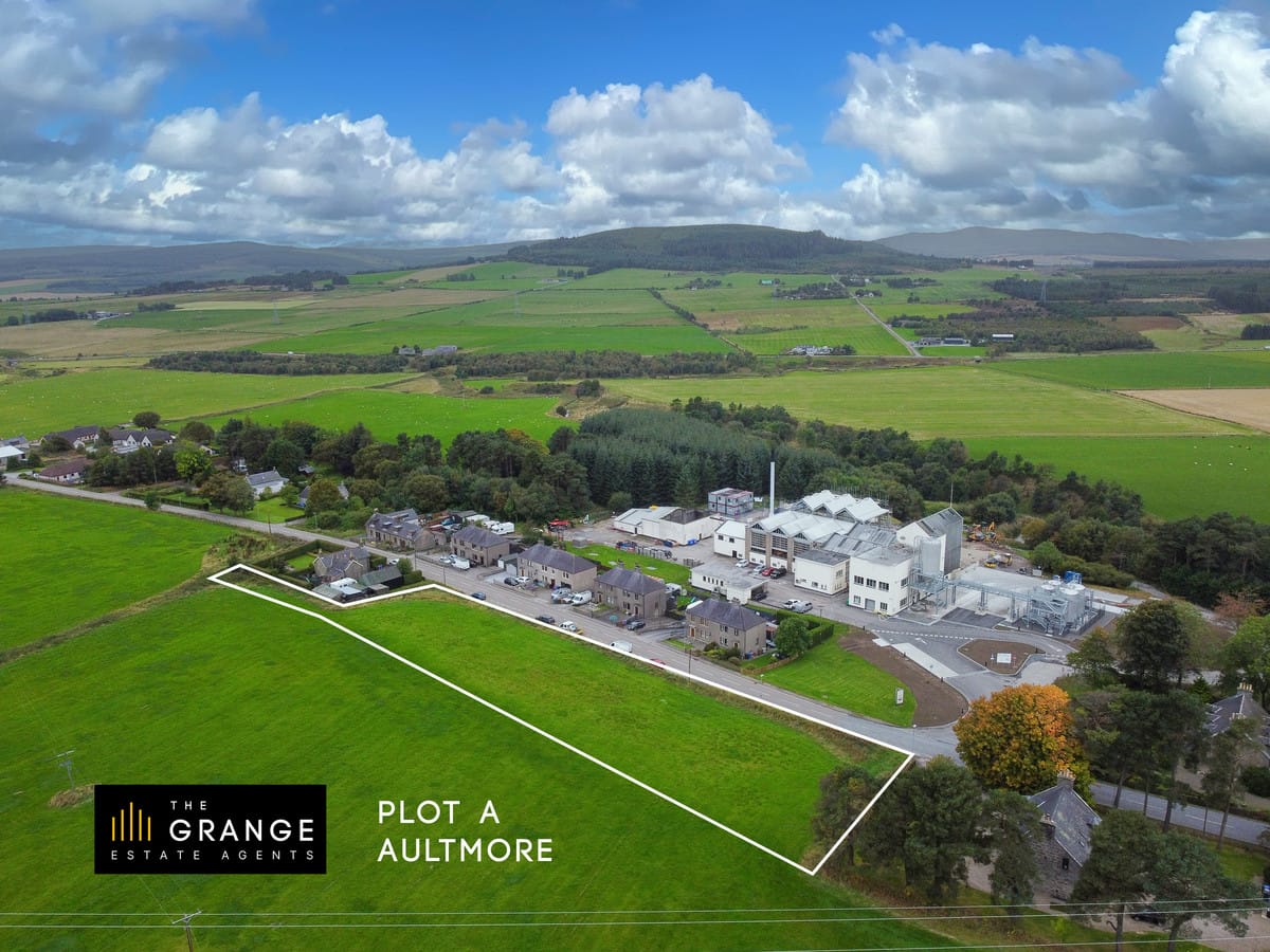 Aerial view of the site